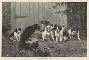 Le Corbeau, jamais plus!